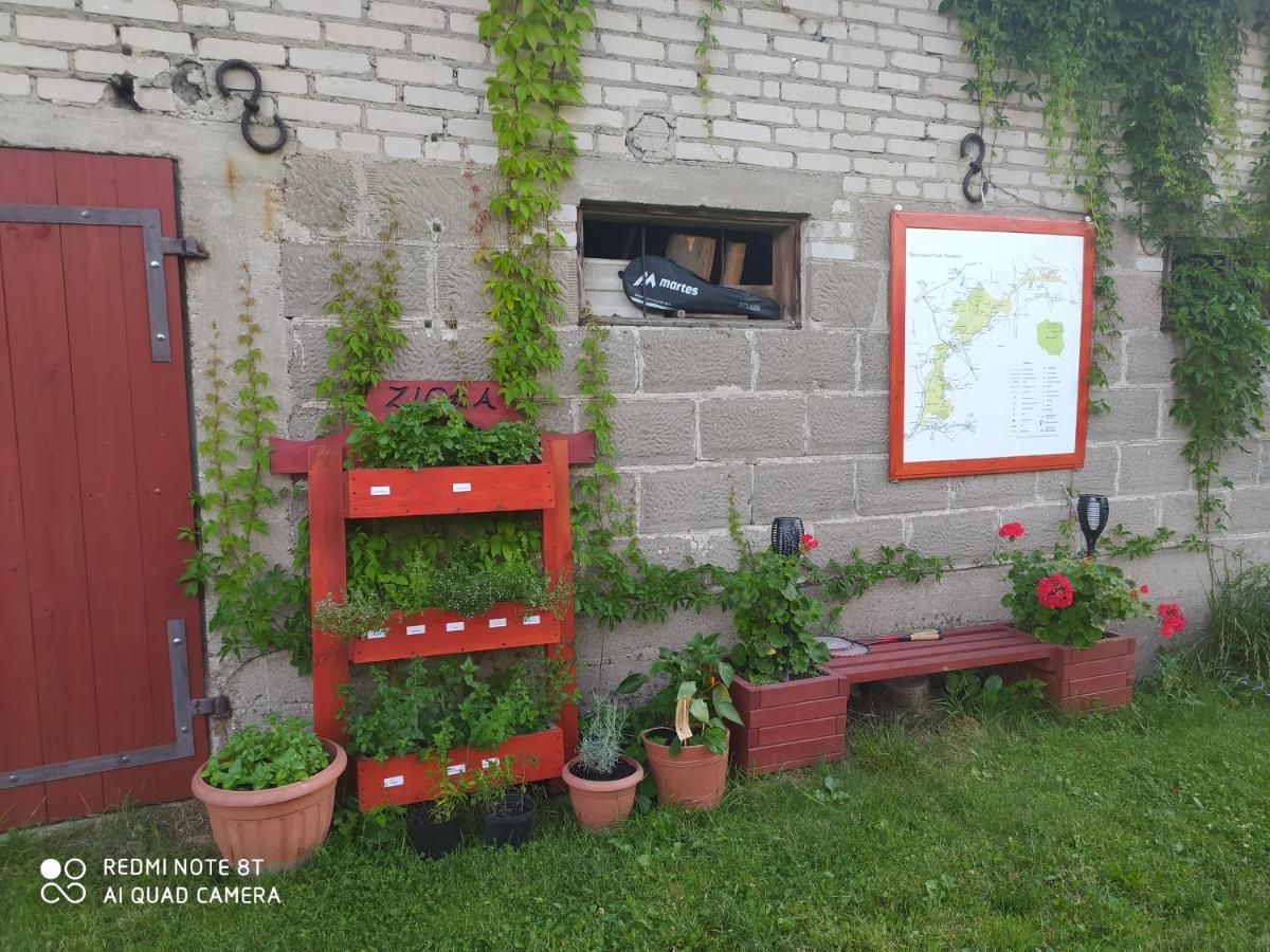 Dolistowka Apartamenty, Pole Namiotowe, Balia Z Jacuzzi, Ogrod Warzywny Dla Gosci, Plac Zabaw Dla Dzieci 戈尼翁兹 外观 照片