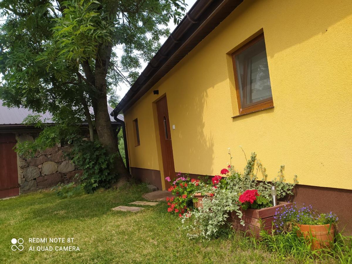 Dolistowka Apartamenty, Pole Namiotowe, Balia Z Jacuzzi, Ogrod Warzywny Dla Gosci, Plac Zabaw Dla Dzieci 戈尼翁兹 外观 照片